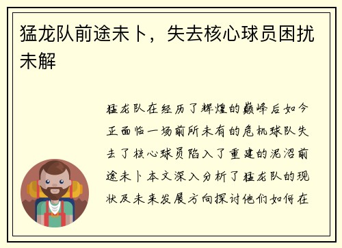 猛龙队前途未卜，失去核心球员困扰未解